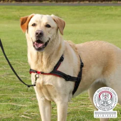 Trixie Lead'N'Walk Soft Tuig Zwart - Hondenharnas