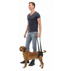 Trixie Loophulp - Hondenhulpmiddelen - Zwart 75-85 Cm L/Xl