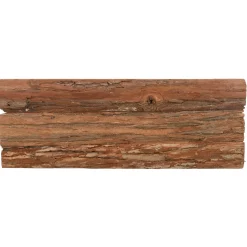 Trixie Loopplank - Speelgoed - 15x4 cm