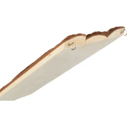 Trixie Loopplank - Speelgoed - 15x4 cm