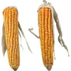 Trixie Mais Kolven - Knaagdiersnack - 250 g 2 stuks