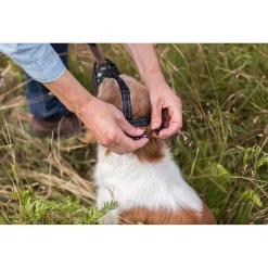 Trixie Muzzle Flex Muilkorf Zwart - Hondenopvoeding