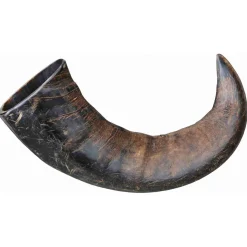 Trixie Natuurlijk Kauwgewei Van De Buffel -