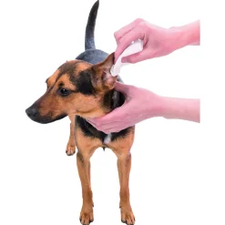 Trixie Oorverzorgingsdoekjes - Orenpads - Zwart 30 stuks