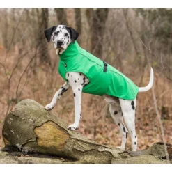 Trixie Regenjas Vimy Groen - Hondenkleding