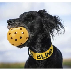 Trixie Rubber Gatenbal Met Bel - Hondenspeelgoed - Ø7 cm 90 g