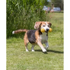 Trixie Rubber Halter Met Bel - Hondenspeelgoed - 17 cm