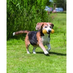 Trixie Rubber Halter Met Bel - Hondenspeelgoed - 17 cm