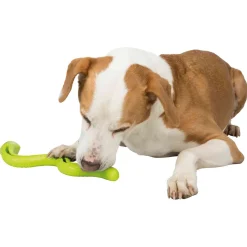 Trixie Snack-Slang - Hondenspeelgoed - 42 cm Groen