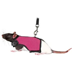 Trixie Soft-Tuig Met Riem Voor Ratten - Harnas - 12-18 Cm