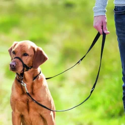 Trixie Top Trainer Opleidingstuig Zwart - Hondenopvoeding