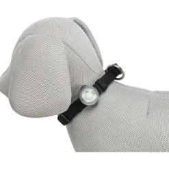 Trixie Usb Flasher - Hondenveiligheidslampje - 8x3 cm Assorti