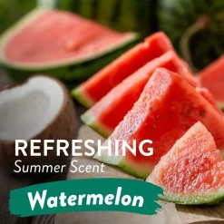 Tropiclean 2in1 Watermelon Shampoo - Hondenvachtverzorging -