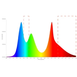 Twinstar Light Iv - Verlichting - 1200ea