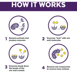 Urine Off Carpet Injector Dog - Geurverwijderaar - 946 ml