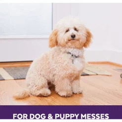 Urine Off Carpet Injector Dog - Geurverwijderaar - 946 ml