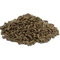 Versele-Laga Crispy Pellets Chinchilla&Degu - Chinchillavoer