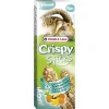Versele-Laga Crispy Sticks Hamster&Eekhoorn - Knaagdiersnack - Fruit 2x55 g