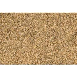 Versele-Laga Menu Nature Insecten Mix - Voer - 250 g