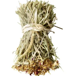 Versele-Laga Nature Snack Hay Bale Dandelion - Ruwvoer - Paardenbloem 70 g