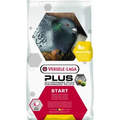 Versele-Laga Plus Start - Duivenvoer - 20 kg