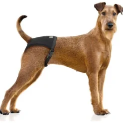 Vetlando Wasbare Loopsheidbroekje Zwart - Hondenloopsheid