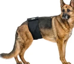 Vetlando Wasbare Luier Voor Reuen Zwart - Hondenzindelijkstraining