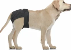 Vetlando Wasbare Luier Voor Teven Zwart - Hondenzindelijkstraining