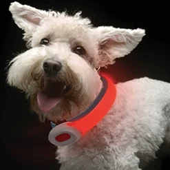 Visto Petsaber Petit Led Dog Collar - Hondenhalsband