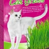 Vitakraft Cat Gras - Kattensnack - Natuur 120 g