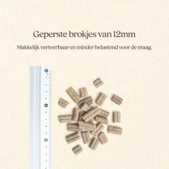 Vitalstyle Maag & Darmen - Hondenbrokken - 3 kg