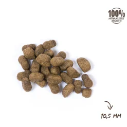 Vitalstyle Spieren + Gewrichten - Hondenvoer