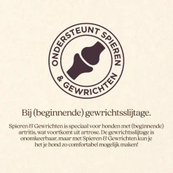 Vitalstyle Spieren & Gewrichten - Hondenbrokken - 3 kg