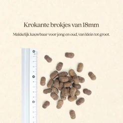 Vitalstyle Spieren & Gewrichten - Hondenbrokken - 3 kg