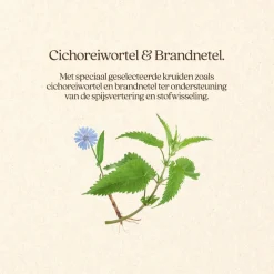 Vitalstyle Weight Control - Hondenbrokken - 12 kg