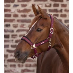 Waldhausen Breath - Halster - Wijnrood Pony