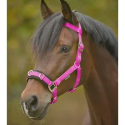 Waldhausen Cavesson Economic - Longeerhalster - Paardenhalster - Roze Pony