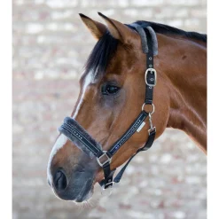 Waldhausen Elegant - Halster - Zwart Cob