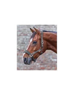 Waldhausen Halster Alcantara Zwart - Paardenhalster
