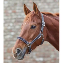 Waldhausen Halster Crystal Taupe - Paardenhalster