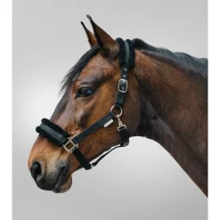 Waldhausen Halster First Zwart - Paardenhalster