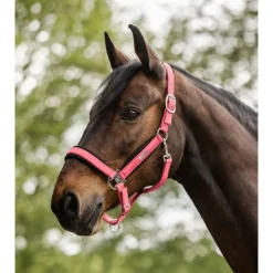 Waldhausen Halter Mesh Fuchsia - Paardenhalster