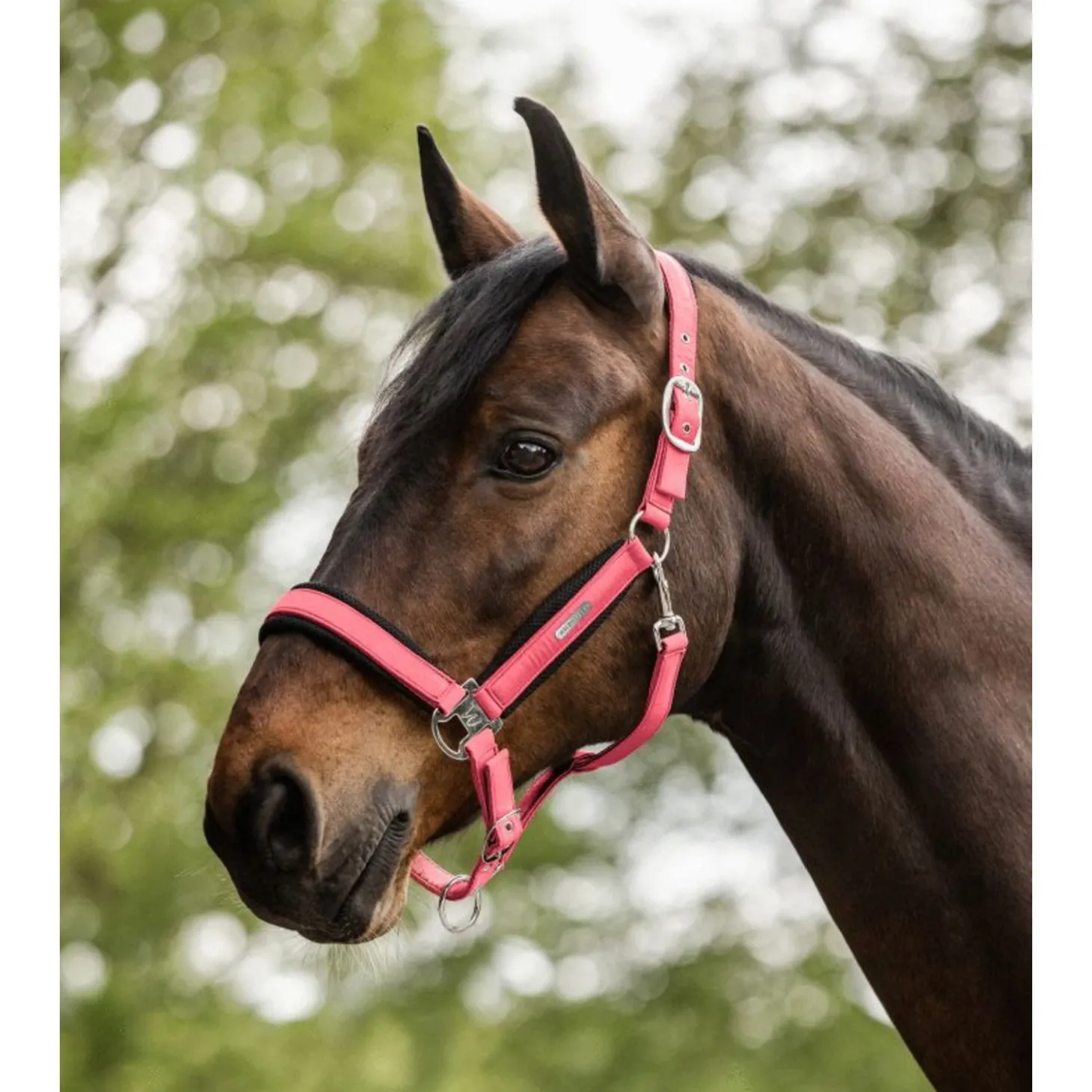 Waldhausen Halter Mesh Fuchsia - Paardenhalster