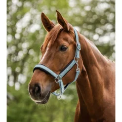 Waldhausen Halter Mesh Korenblauw - Paardenhalster