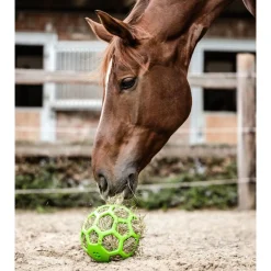 Waldhausen Hooibal - Stalbenodigdheden - Groen