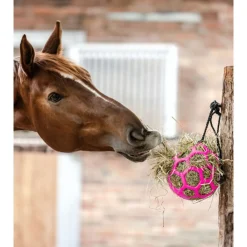 Waldhausen Hooibal - Stalbenodigdheden - Pink