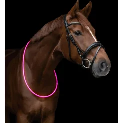 Waldhausen Led Halsband - Ruiteraccessoires