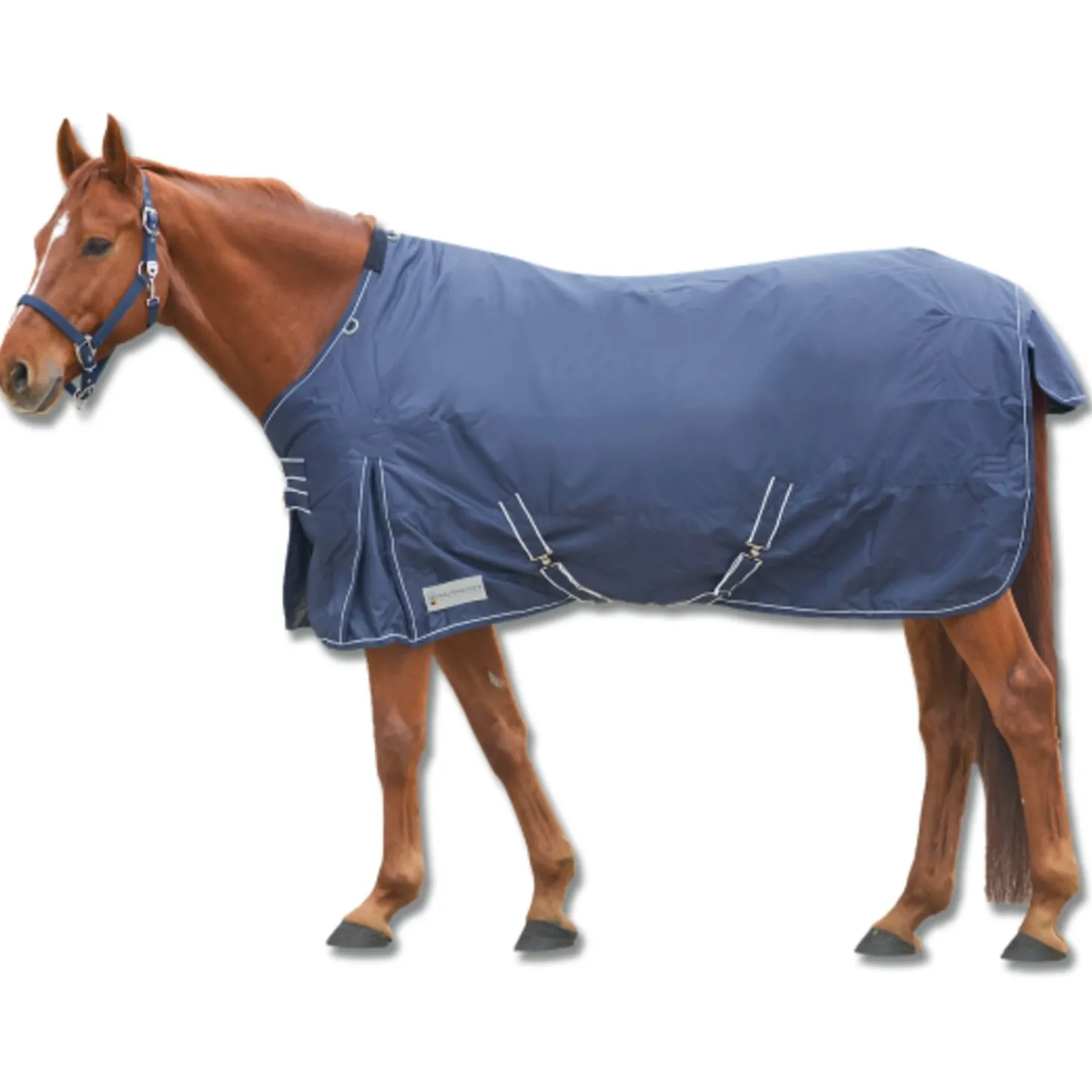Waldhausen Outdoordeken Economic 200 Grams Blauw - Paardendekens