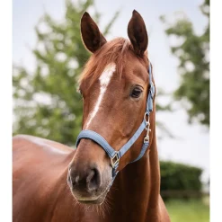 Waldhausen Perlon Satin - Halster - Lichtblauw Shet