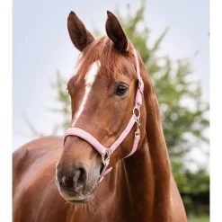 Waldhausen Perlon Satin - Halster - Lichtroze Pony